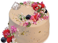 シーズンショートケーキ 生チョコ　5号サイズ