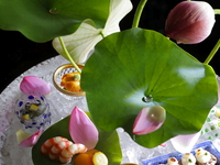 Chef’s ‘OMAKASE’ Course  JPY125,000 (Svc&Tax Incl.)~*Market Prace 