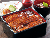 [Summer Only] Hagoromo Unaju