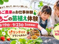★いちごの苗植え体験＆カーンズハンバーガーランチ