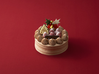 【グランビレッジ会員様】　クリスマスデコレーションチョコレート（5号）　9月早期割引　【カード決済用】