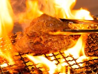 Lunch course 6 dishes