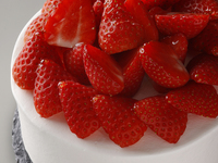 Marriott Christmas Shortcake 5号