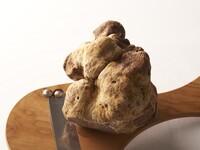 【数量限定】Menu Spécial ~white truffle~ ムニュ・スペシャル・白トリュフ