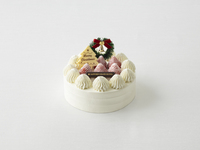 【グランビレッジ会員様】　クリスマスデコレーション（5号）　【カード決済用】