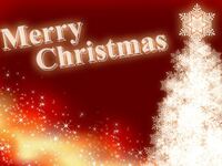 Xmasディナーコース　（牛ヒレ肉コース）