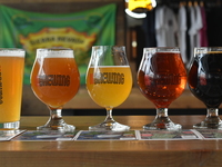 新年会プラン！クラフトビール全種類90分飲み放題付き