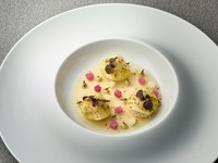 【ディナー】クラシック 