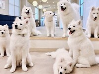 ≪平日≫通常チケット（50分）