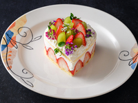 Anniversary Plan "Rose Course" 11,000 yen [1 drink for toast, whole cake] ☆ Private rooms available