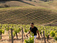 【ワインディナーイベント】造り手の想いをのせた6種のワインと特別なフルコースを楽しむ 一夜限りのディナー体験