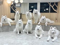 <Weekdays> Regular ticket (50 minutes)