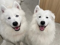 ≪토일요일 공휴일≫ 통상 티켓(50분)