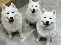 ≪평일≫전세 플랜(50분)¥25,000