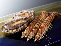 ★露草～TSUYUKUSA～