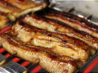 【熊魚菴　たん熊北店】鰻御膳
