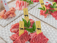 ◇Lunch Special Course [Lunch only] Recommended course for weekend lunch parties with ladies