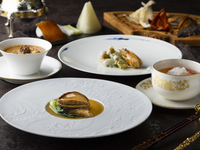【特別コース 昇龍】高級食材を使用した全9品【料理長渾身の本格四川料理】