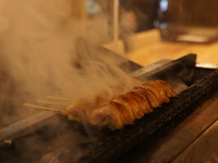 当店自慢の比内地鶏とほろほろ鳥をレストランの雰囲気で味わえるTORIYAコース