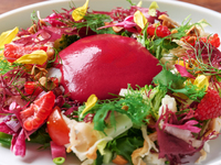 Information about “Symphony of Wellness: Vegetable Lunch”