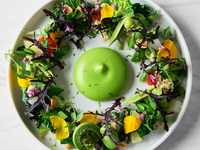 Information about “Symphony of Wellness: Vegetable Lunch”