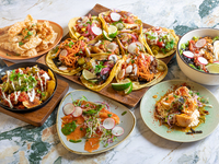 SHARE STYLE 3000 COURSE