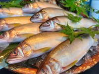 ＜全室個室＞新潟県産岩魚と信州豚を楽しむいろり焼きランチコース＋選べる1ドリンク付