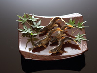 夏季限定　鮎づくし　18,000円（お座敷個室）