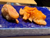 【要予約】寿司と貝の贅沢コース「極」