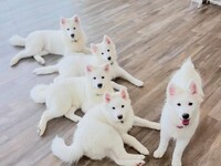 Weekdays: Private plan (50 minutes) ¥20,000