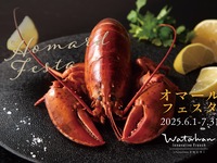 【オマール海老 ディナーコース】全9品