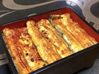 お昼のうなぎ重　特
