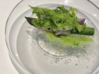 menu フランス レストランウィーク ランチ