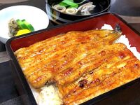 炭火焼うなぎ重会席　B