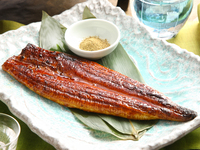 特大うなぎ長蒲焼（鹿児島県産）