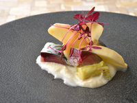Dinner Course
