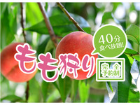 ★ Peach picking (40 minutes all-you-can-eat plan)