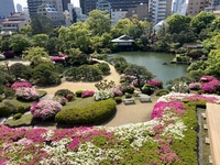 [Lunch course] Saison