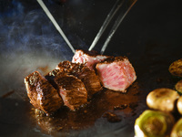 Teppanyaki Course 　EZO