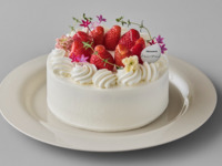 Freshly Decorated Phrases [Size 18cm]