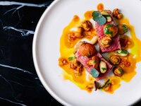 【Dinner】11,000円コース＋乾杯シャンパン付