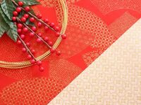 【年末年始限定】スペシャルディナーコース（大人）