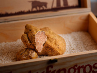 六本木うかい亭コース＋イタリア産白トリュフ