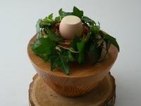 Christmas short course