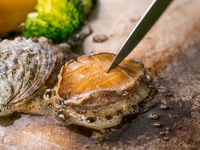 【Xmas2025 】鮑ランチ(12/20，21、24、25 )