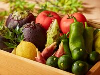 [Makan malam] 11 jenis hidangan kecil bermusim dan hidangan berpasangan minuman tanpa alkohol -Sabo-