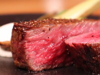 Splendido programma per le feste del 2024