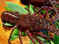 Hitachinokuni Ise Shrimp D