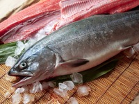 November only: Matsutake mushrooms, salmon, crab, abalone and spiny lobster - a seasonal recommendation for late autumn