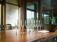 【ランチ・ディナー】★5名様以上での貸し切りプラン★ セルヴァーティコ  ”Selvatico“